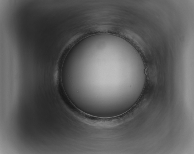 X0000102370016200808011522
