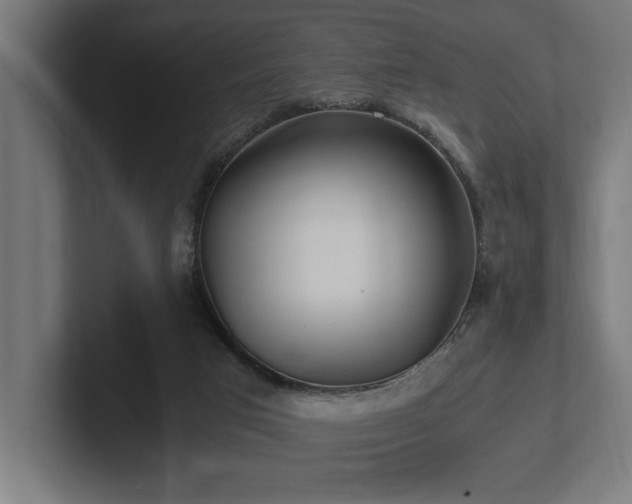 X0000102370017200808011522