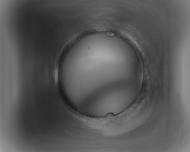 X0000102370019200808011522