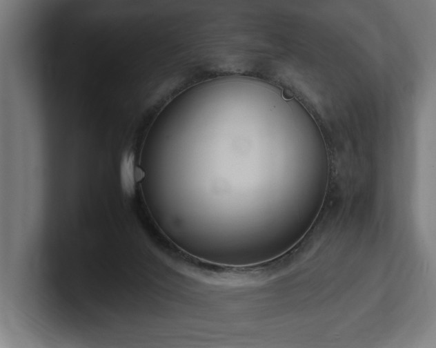 X0000102370020200808011522