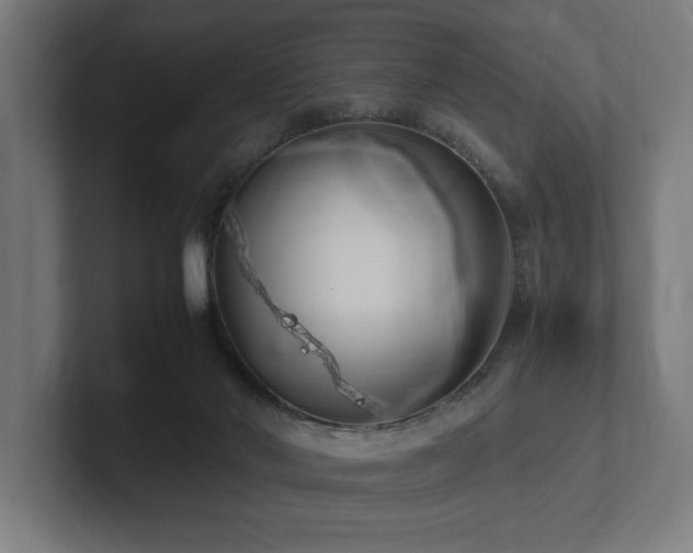 X0000102370022200808011522