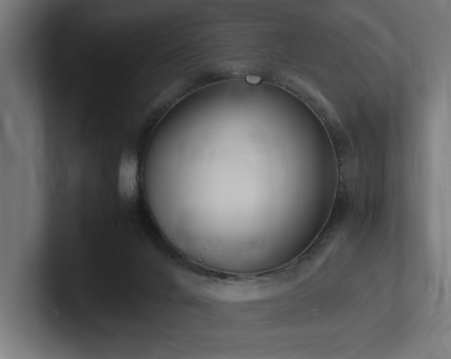 X0000102370024200808011522