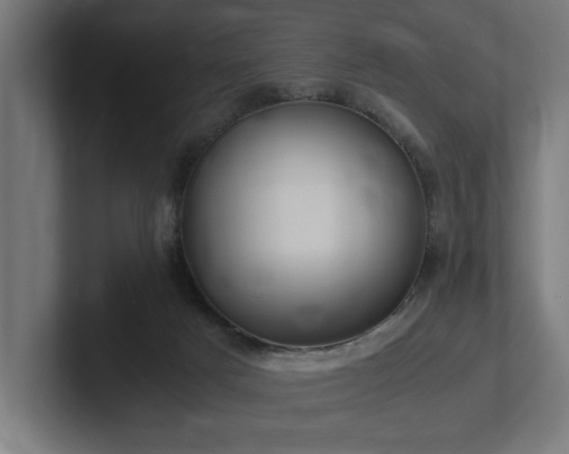 X0000102370025200808011522
