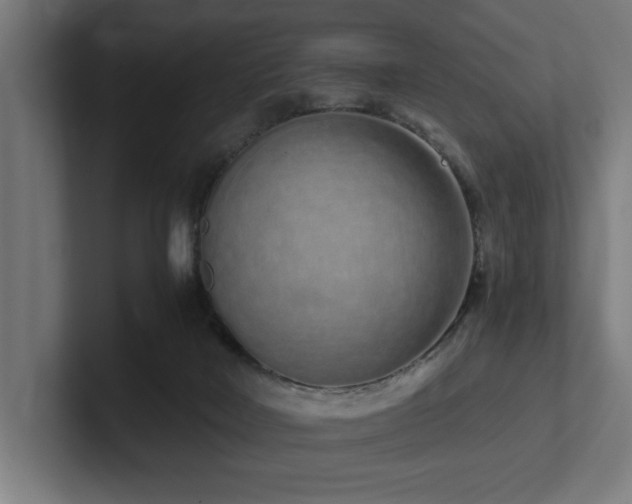 X0000102370026200808011522