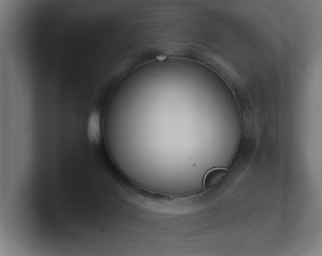 X0000102370028200808011522
