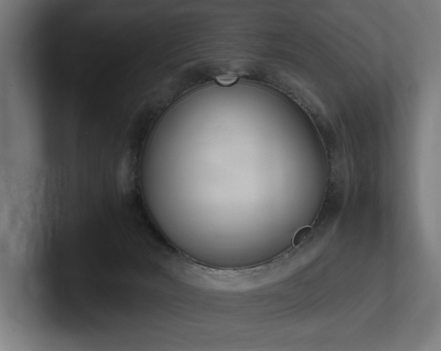 X0000102370030200808011522