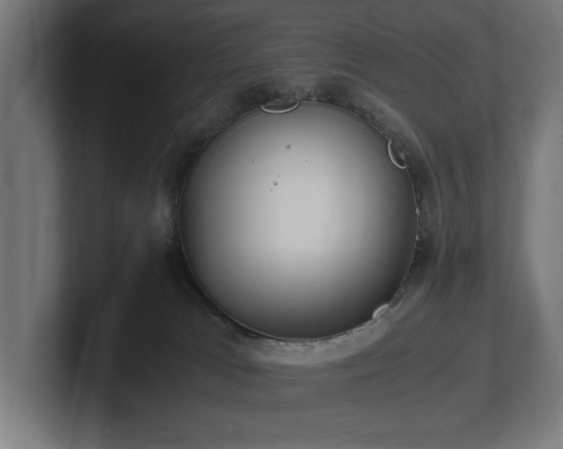 X0000102370037200808011522