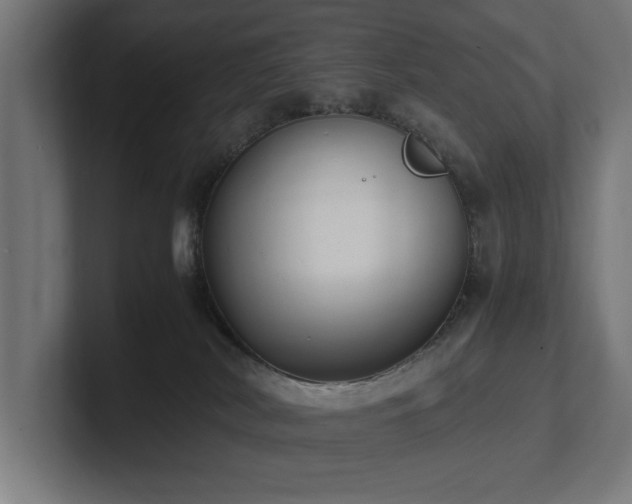 X0000102370038200808011522