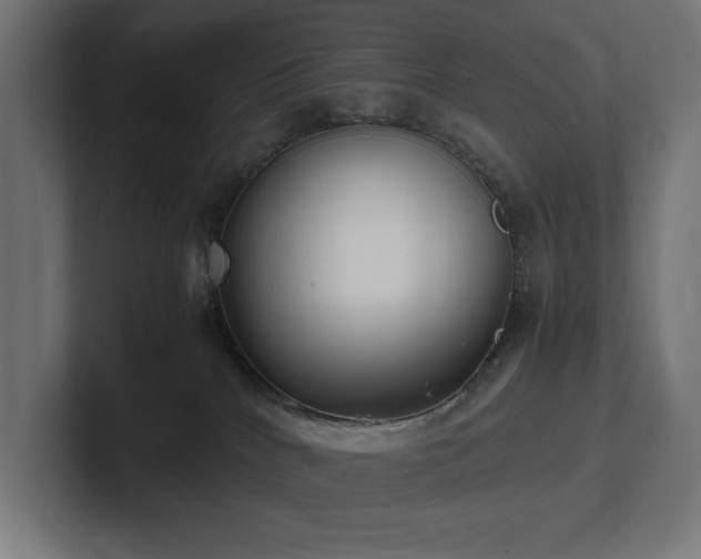 X0000102370040200808011522