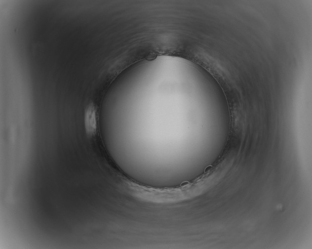 X0000102370042200808011522