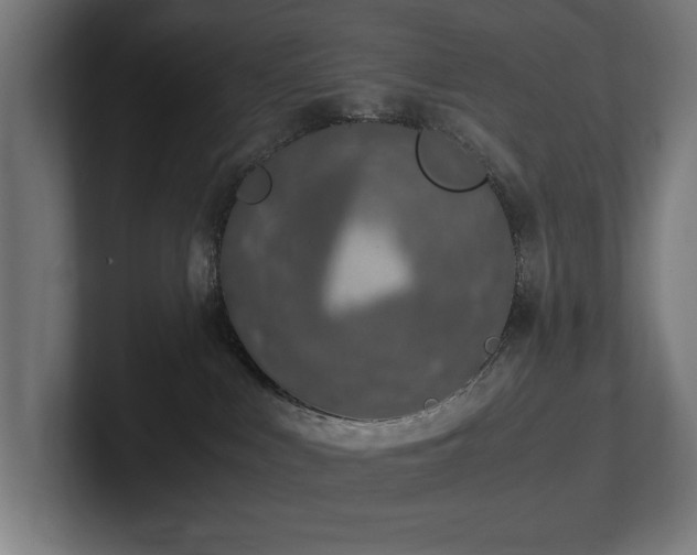 X0000102370043200808011522