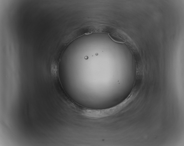 X0000102370045200808011522