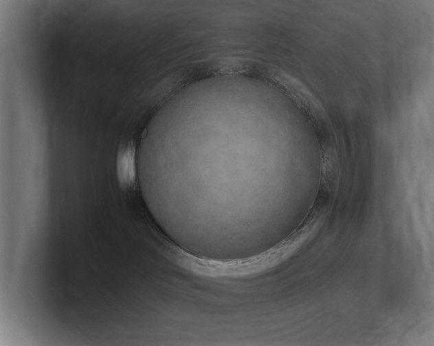 X0000102370046200808011522