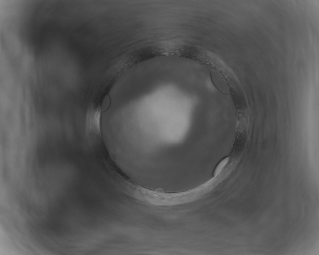 X0000102370047200808011522