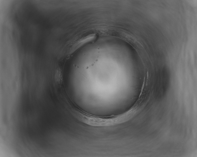 X0000102370048200808011522