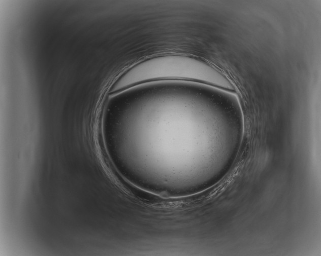 X0000102370049200808011521
