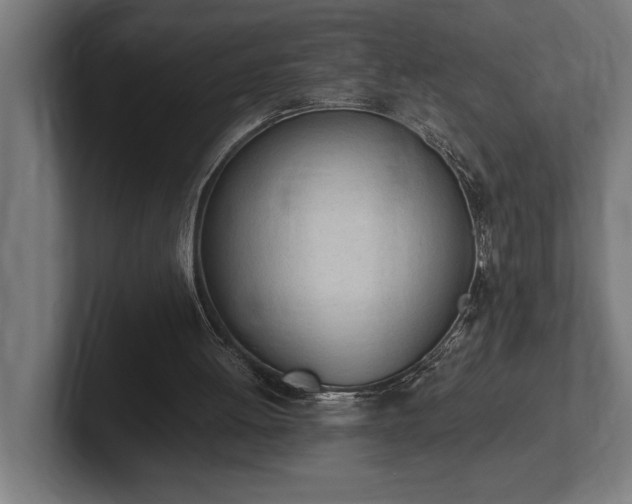 X0000102370052200808011521