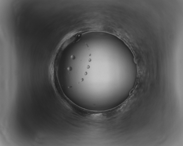 X0000102370054200808011521