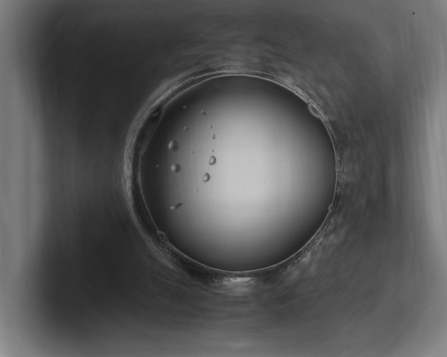 X0000102370055200808011521