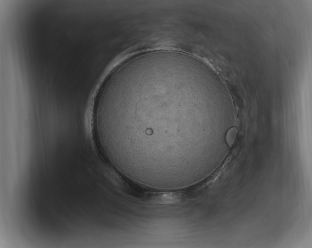 X0000102370056200808011521