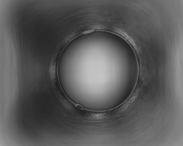 X0000102370057200808011521