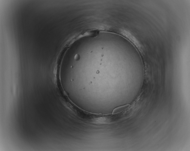 X0000102370058200808011521