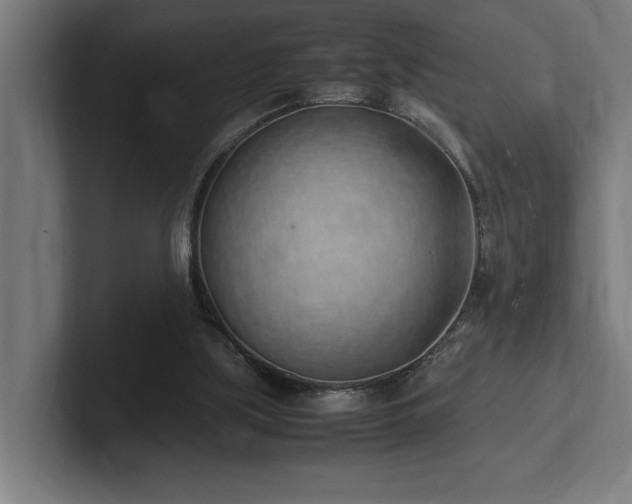 X0000102370059200808011521