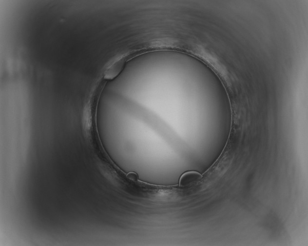 X0000102370060200808011521
