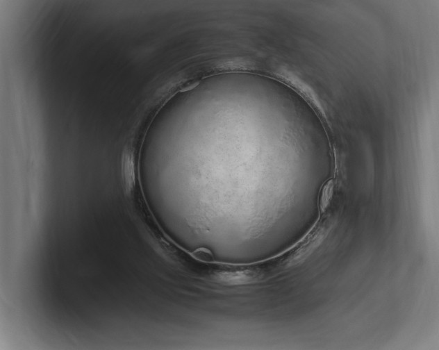 X0000102370061200808011521