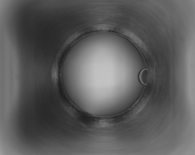 X0000102370064200808011522
