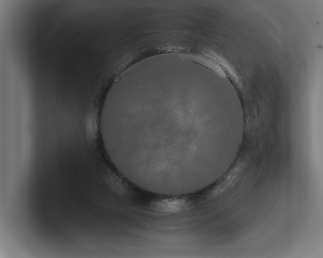 X0000102370065200808011522