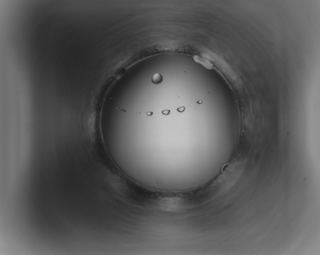 X0000102370066200808011522