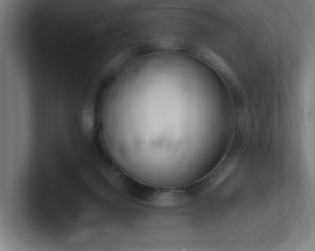 X0000102370072200808011522
