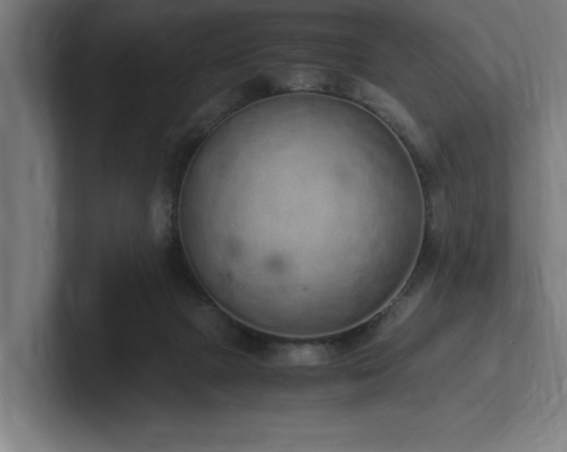X0000102370073200808011522