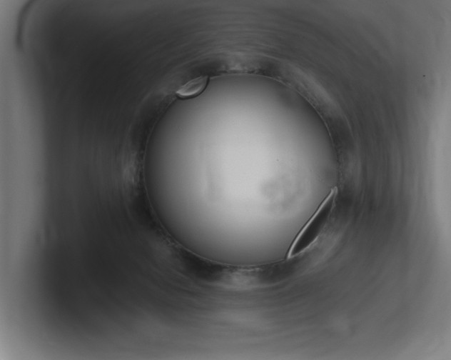 X0000102370078200808011522