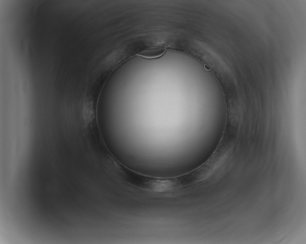 X0000102370085200808011522