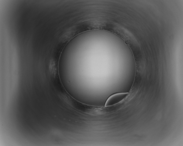 X0000102370086200808011522