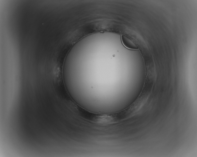 X0000102370087200808011522