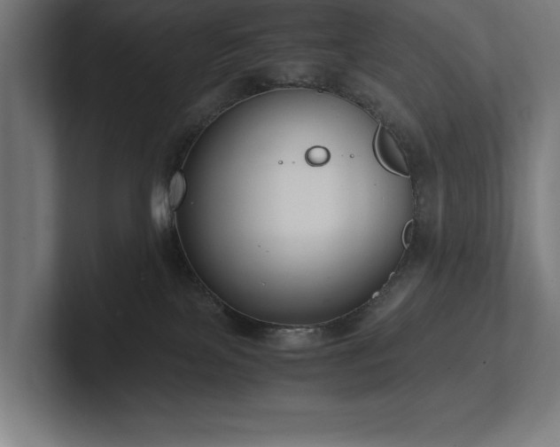 X0000102370089200808011522