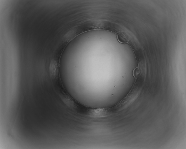 X0000102370092200808011522