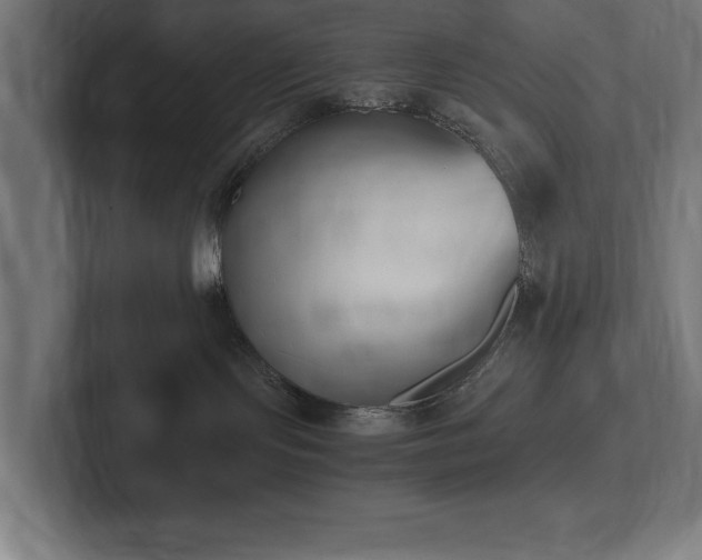 X0000102370095200808011522