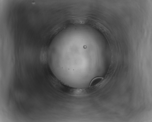 X0000102370096200808011522