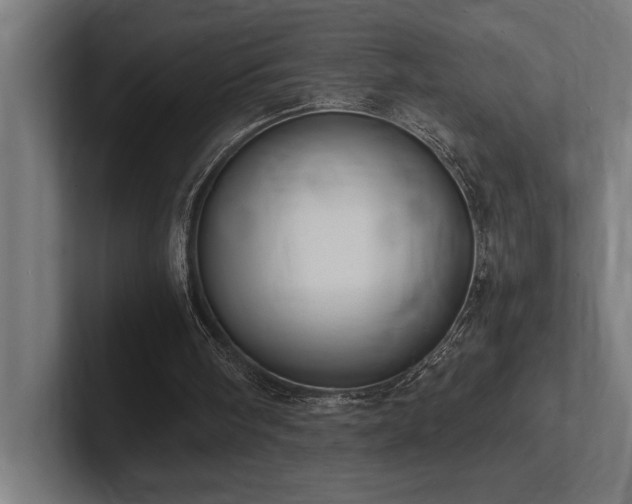 X0000102370098200808011521