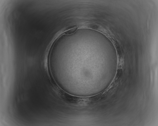 X0000102370099200808011521