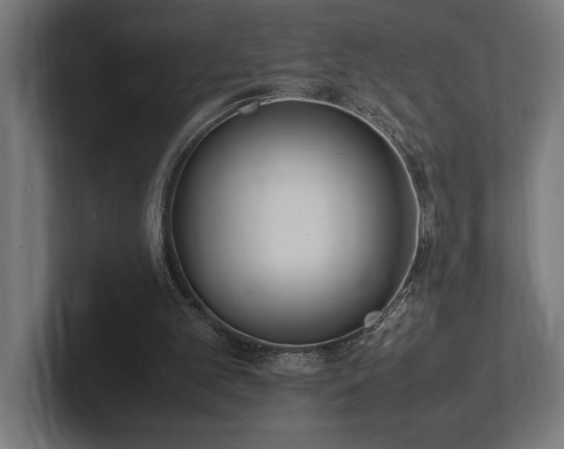 X0000102370101200808011521