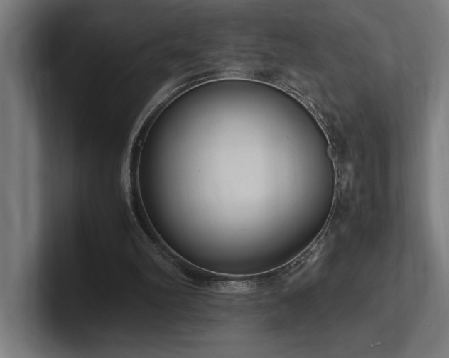X0000102370102200808011521