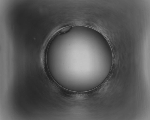 X0000102370103200808011521