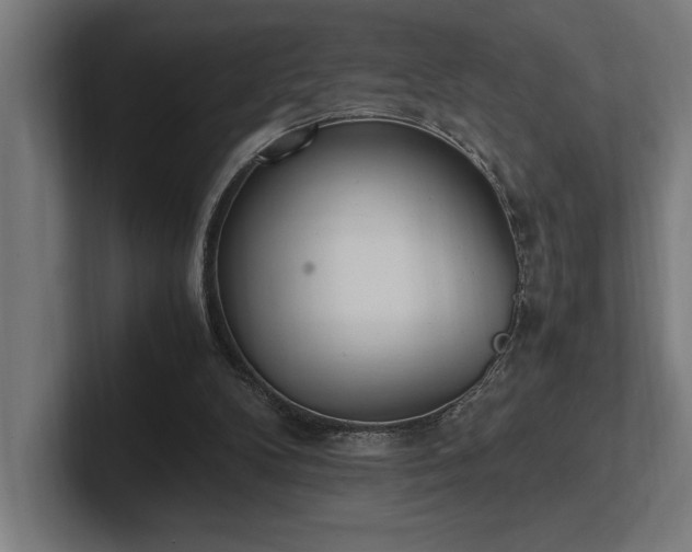 X0000102370104200808011521