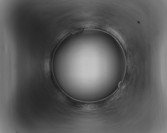X0000102370105200808011521