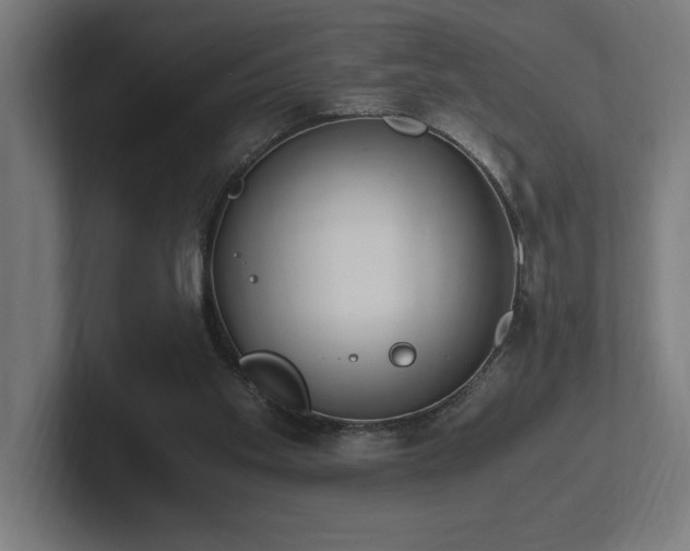 X0000102370109200808011521
